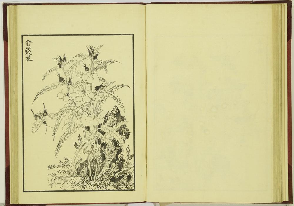 图片[27]-illustrated book; print BM-1915-0823-0.242-China Archive